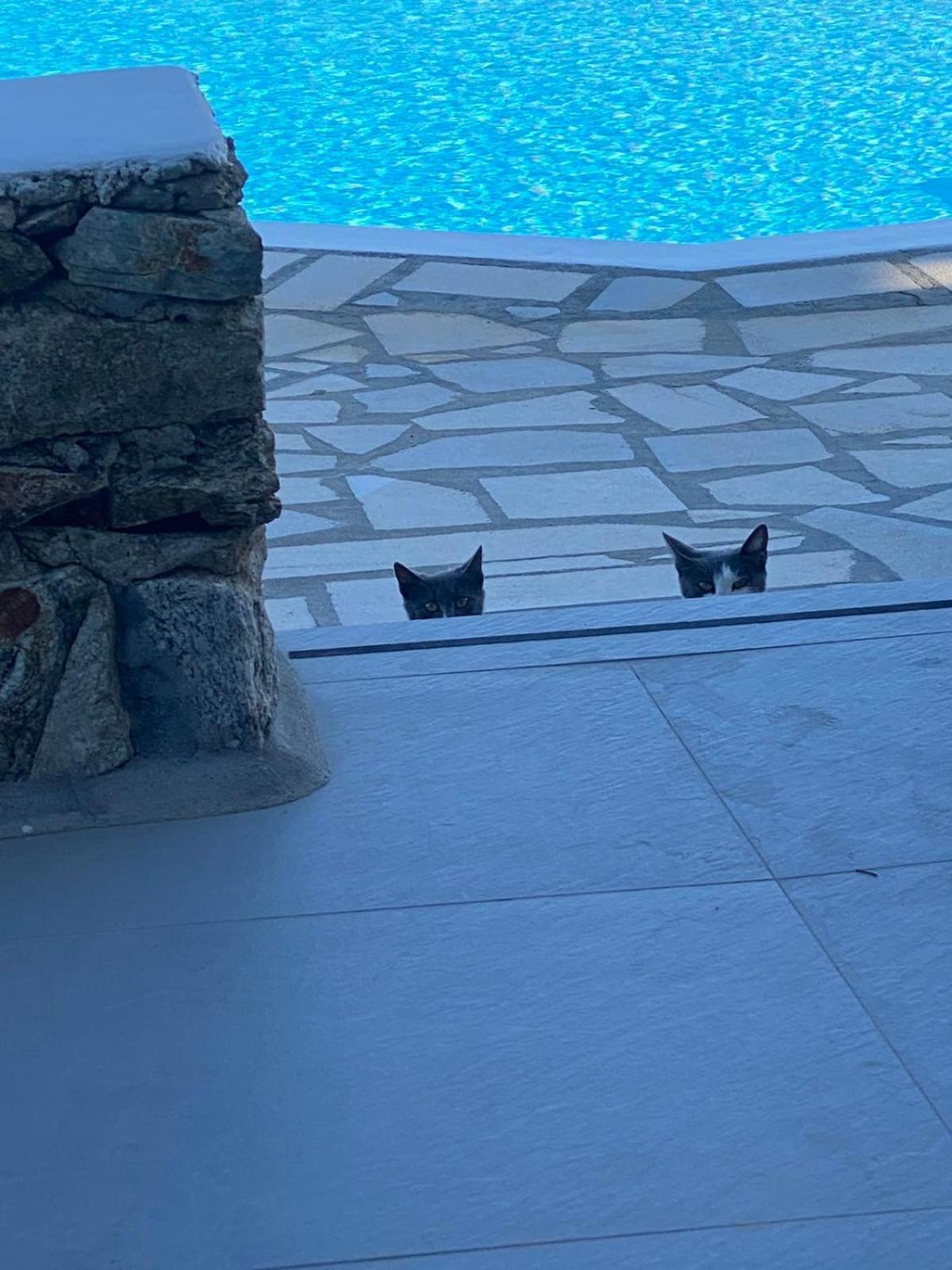 Cavo Blue Villas Elia  Esterno foto